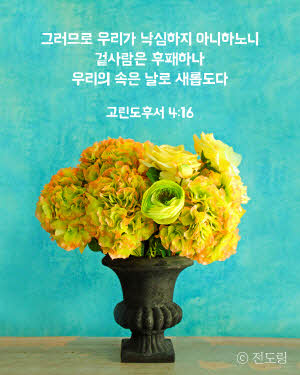 [IMG] 전도링 푸시 이미지